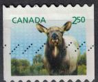 Canada 2014 Oblitr Used Animal Wapiti cervus elaphus canadensis SU