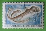 Congo 1961 - Nr 144 - Poisson Chauliodus Sloanei (Obl)