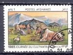 Timbre  AFGHANISTAN 1985  Obl  N 1206  Y&T Faune  Bovins