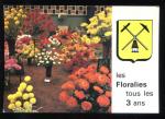 CPM 62 BRUAY EN ARTOIS Les Floralies