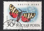 EUHU - 1959 - Yvert n 1322 - Papillons : Tigre bagu (Arctia festiva)
