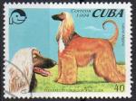 CUBA N 3393 o Y&T 1994 Fdration canine Cubain (Lvrier Afghan)