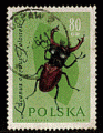 Pologne 1961 - YT 1145 -  oblitr - coloptre