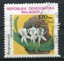 Timbre Rpublique de MADAGASCAR  1981  Obl  N 647  Y&T  Fleurs