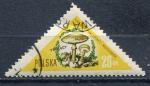 Timbre POLOGNE 1959  Obl  N 959   Y&T  Champignons