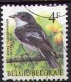 Belgique : Y.T. 2647 - Gobe-mouche noir - oblitr - anne 1996