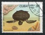 Timbre de CUBA 1983  Obl  N 2466  Y&T   Tortue