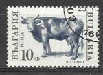 Bulgarie 1991; Y&T n3362, 10AB vache