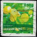 Luxembourg 2018 Oblitr Used fruits Duederer varit de prune SU