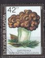 EUBG - 1991 - Yvert n 3356 - Morille de boeuf (Gyromitra esculenta)