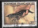 Polynsie - 1980 - YT  n  151  oblitr