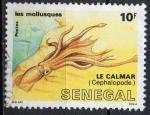 SENEGAL N 754 o Y&T 1988 Faune mollusques (Calamar)