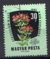 HONGRIE 1961 - YT 1470 - Plantes mdicinales ou industrielles   Centaurium minus