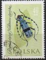 POLOGNE N 1142 o Y&T  1962 Protection des insectes (Rosaha alpina)