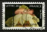 FRANCE 2005 / YT AA 55 NAISSANCE - GARCON  OBLRONDE