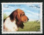 Timbre AFGHANISTAN 1998  Obl  N 1758 Mi.  Chiens