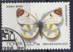 URSS N 5287 o Y&T 1986 Papillons (Zegris eupheme esp)