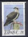 ESPAGNE 1999 - YT 3185 - Oiseaux  trapaces  Balbuzard pcheur Pandion haliaetus
