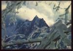 CPM 74 CHAMONIX MONT BLANC L'Aiguille de Plerins et le Mont Blanc