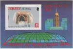 Jersey 1994 - HONG KONG '94, bloc "Année du chien" - YT BF 8 / SG MS649 **