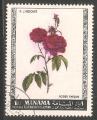 Manama - X3   flower / fleur