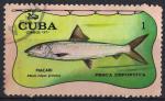 Cuba 1971 Oblitr Used Pche Sportive Poisson Macabi Albula Vulpes SU