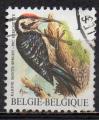 BELGIQUE N 2349 o Y&T 1990 Oiseau (Pic peichette)