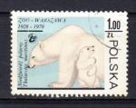 POLOGNE - 1978 - YT. 2415 o - Ours polaire