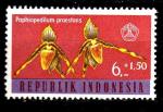 AS13 - Anne 1962 - Yvert n 317** - Orchides (Paphiopedilum praestans)