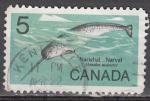 Canada 1968  Y&T  401  oblitr   narval