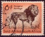 Afrique du Sud / South Africa 1954 - Lion - YT 208 °