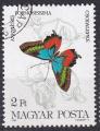 HONGRIE- 1984 - Papillon - Yvert 2914 Oblitéré