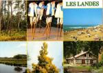 Les Landes (40) - pinde, chassiers, plage, bord d'tang, mimosa, ferme