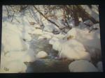 CPM IMAGES DE CHEZ NOUS EN HIVER le ruisseau sous la neige