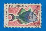   Cte des Somalis:  Y/T   N 300 o