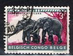 Congo Belge / 1959 / Elphants / YT n 357, oblitr