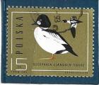 Timbre Pologne Oblitr / 1985 / Y&T N2812.