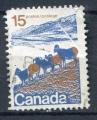 Timbre CANADA 1972 - 1976  Obl  N 472A  ( Phosphore ) Y&T   Moutons