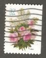 USA - Scott 3836   flower / fleur