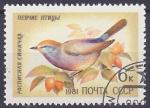 Timbre oblitr n 4838(Yvert) URSS 1981 - Oiseau