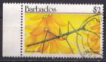BARBADE - 1990 - Insecte -  Yvert 796 oblitr