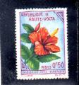 Haute-Volta neuf** n 113 Hibiscus rosa sinensis HV34497
