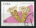 Timbre de CUBA 1994  Obl  N 3387  Y&T  Fleurs Cactus