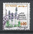 TUNISIE - 2005 - Yt n° 1555 - Ob - Fleurs : lavande