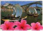 PORTO (Portugal) - Bteaux Rabelos et pont Dom-Luis, fleurs hibiscus - 2005