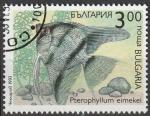 Timbre oblitr n 3509(Yvert) Bulgarie 1993 - Poisson