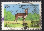 Npal 1984; Y&T 416; 50p, faune, antilope