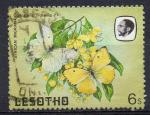 LESOTHO N 566 o Y&T 1984 Papillon (Catopsilia florella)
