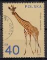 EUPL - 1972 - Yvert n 2008 - Girafe (Giraffa camelopardalis)