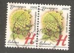 Belarus - Michel 719-2   flower / fleur
